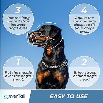 Amazon.com : CleverTail XL Metal Dog Muzzle for Large Sized
